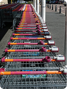 Store Intelligence